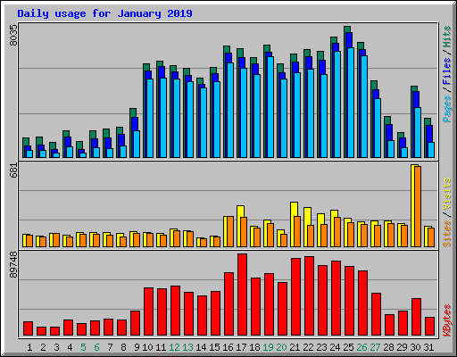 Daily usage for January 2019