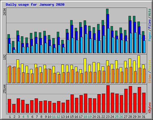 Daily usage for January 2020