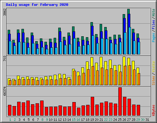 Daily usage for February 2020