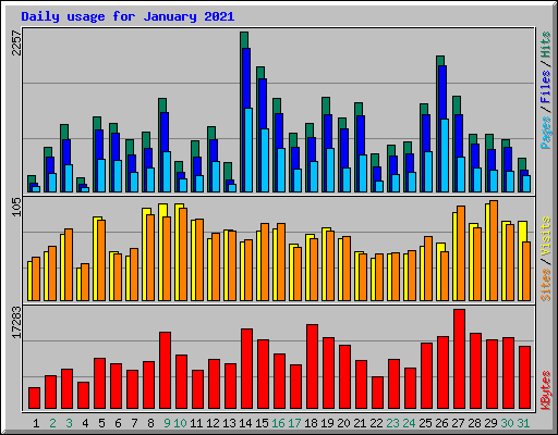 Daily usage for January 2021