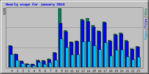 Hourly usage for January 2016