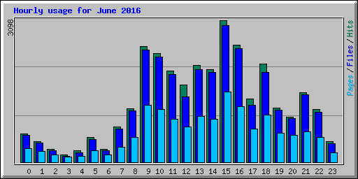 Hourly usage for June 2016