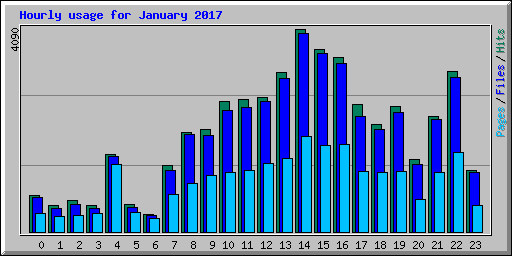 Hourly usage for January 2017