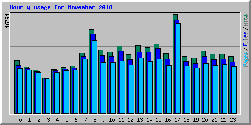 Hourly usage for November 2018