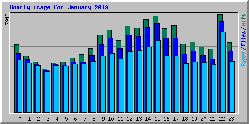 Hourly usage for January 2019