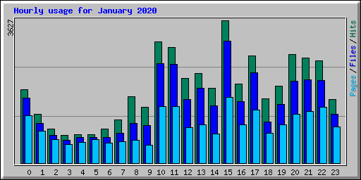 Hourly usage for January 2020