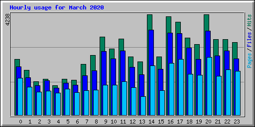 Hourly usage for March 2020
