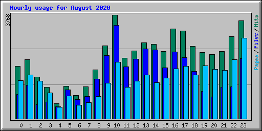Hourly usage for August 2020