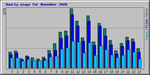 Hourly usage for November 2020