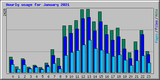 Hourly usage for January 2021
