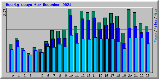 Hourly usage for December 2021