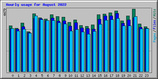 Hourly usage for August 2022