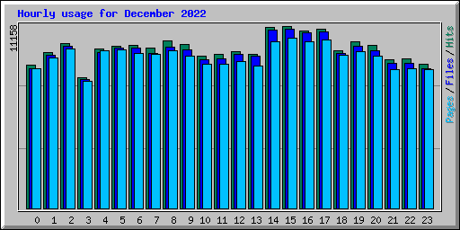 Hourly usage for December 2022