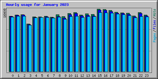 Hourly usage for January 2023