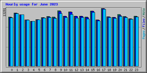 Hourly usage for June 2023